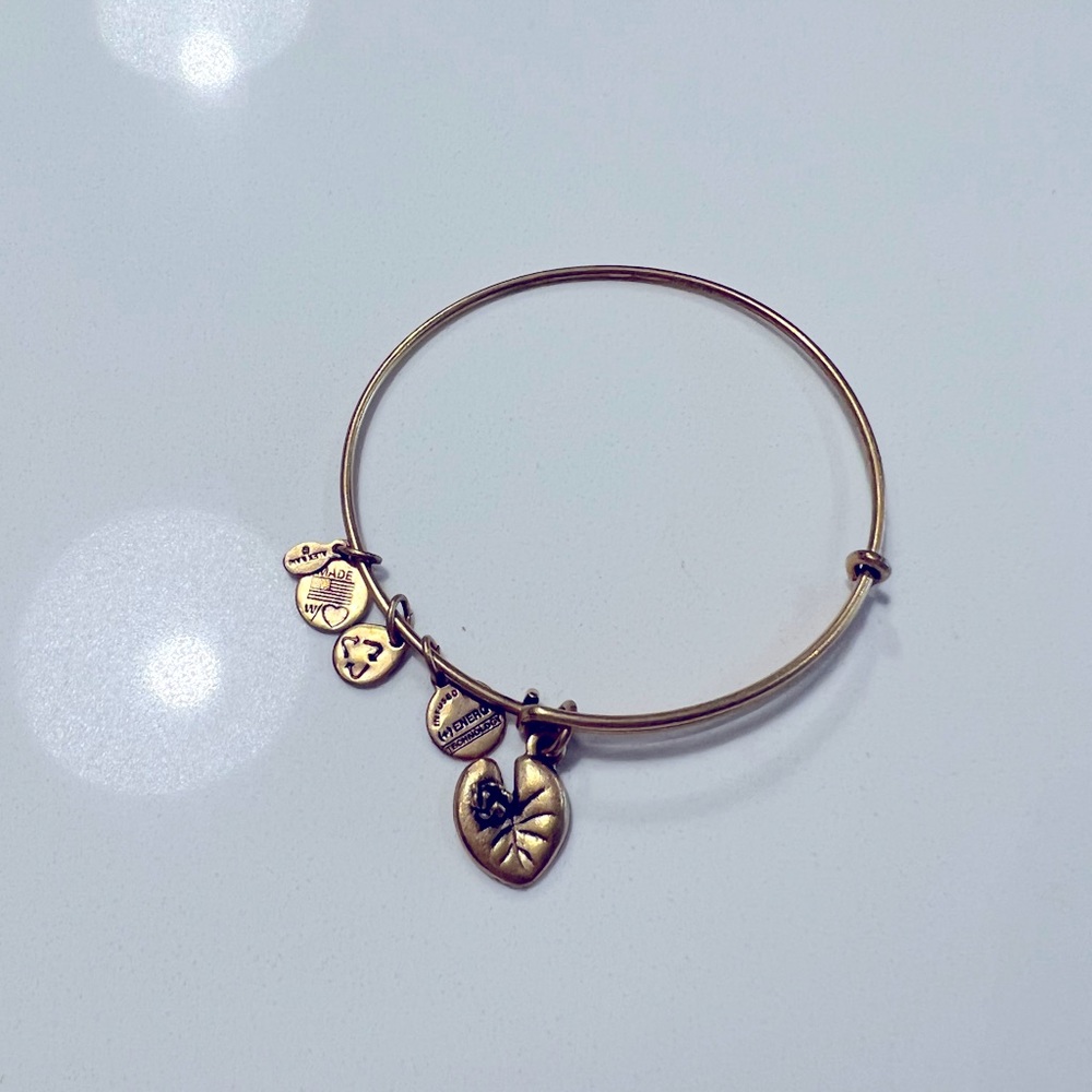 ALEX and ANI BRACELET NWOT. Each $9 or bundle!